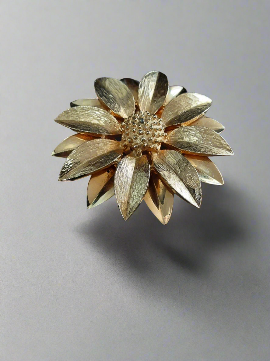 Oxeye brooch
