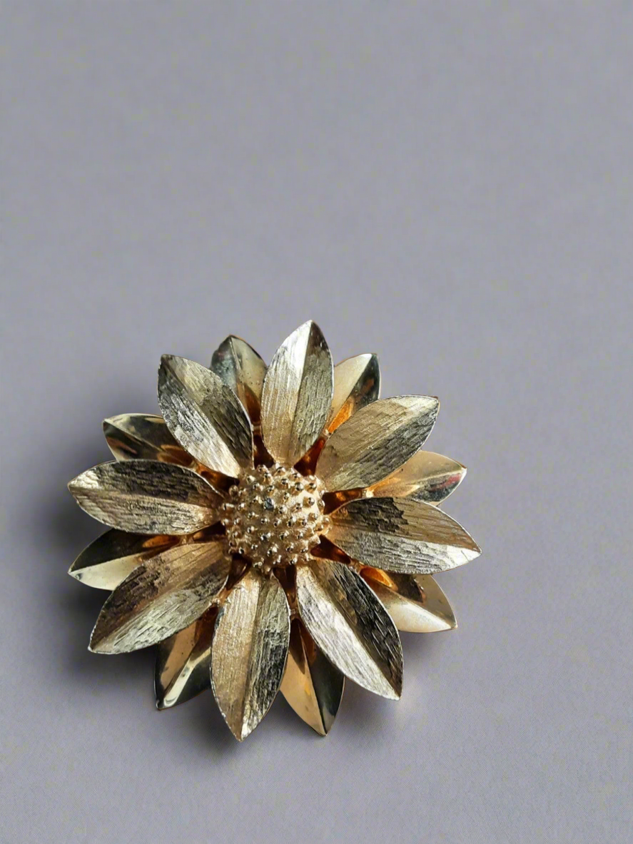 Oxeye brooch