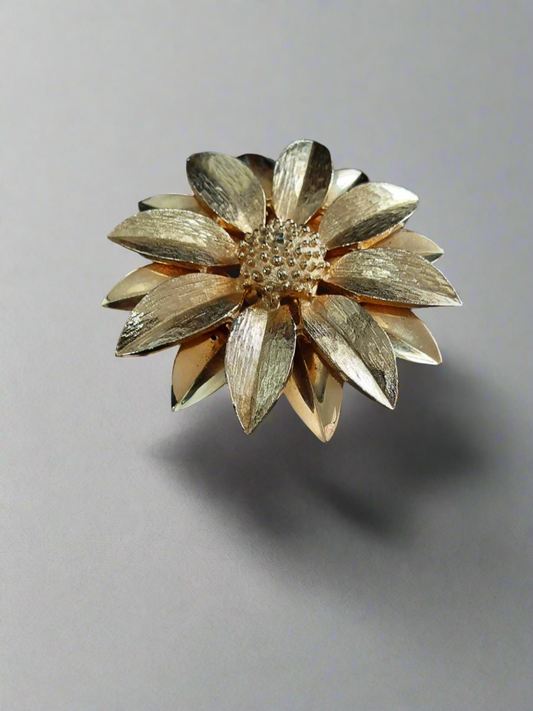 Oxeye brooch